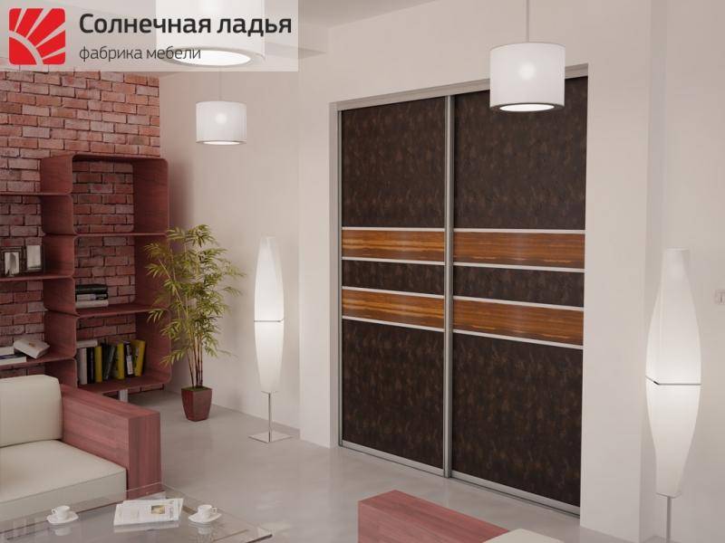 шкаф - купе для гостиной 17 в Королёве