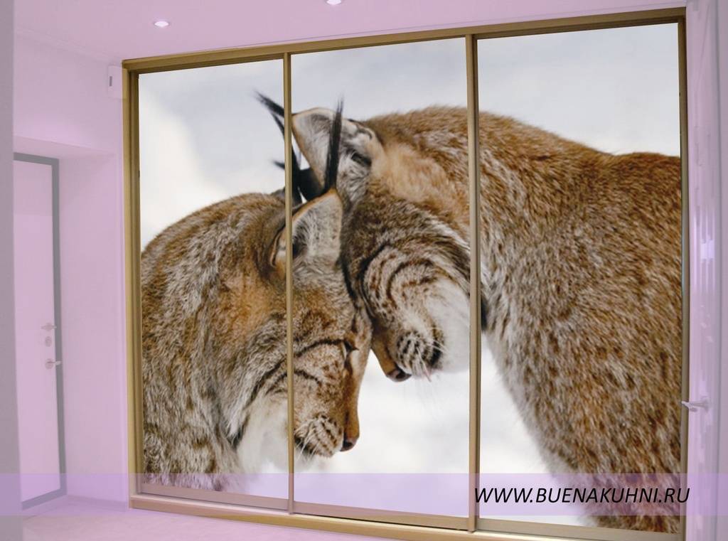 шкаф-купе в Королёве