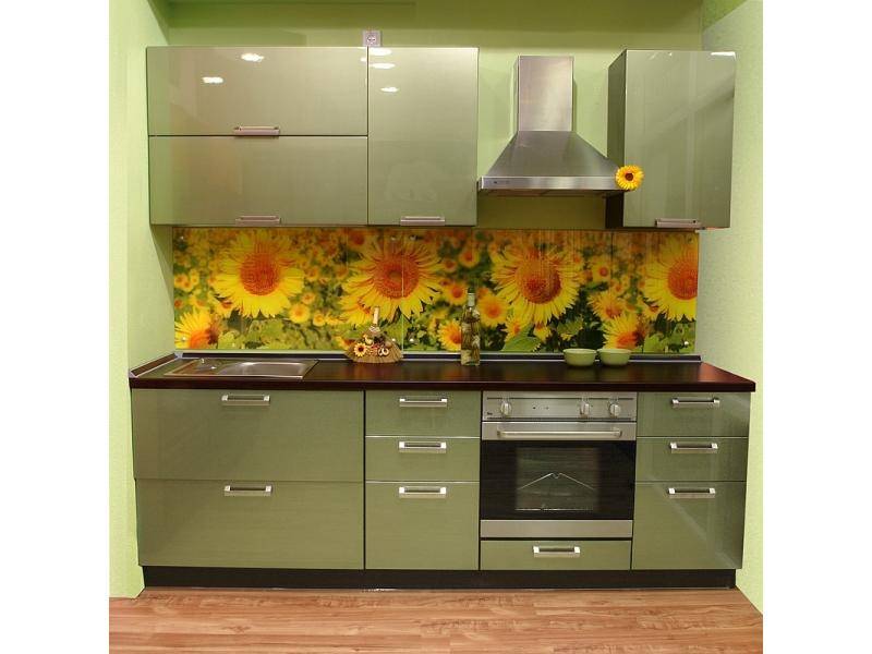 крашенная кухня тефида в Королёве