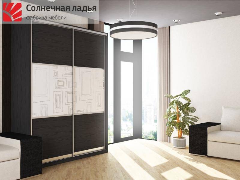 шкаф - купе для гостиной 4 в Королёве