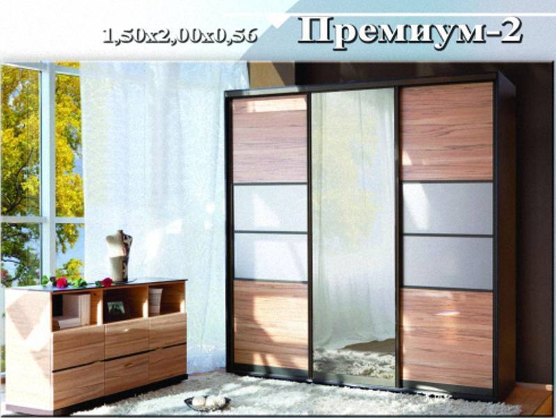 шкаф-купе «премиум 2» в Королёве
