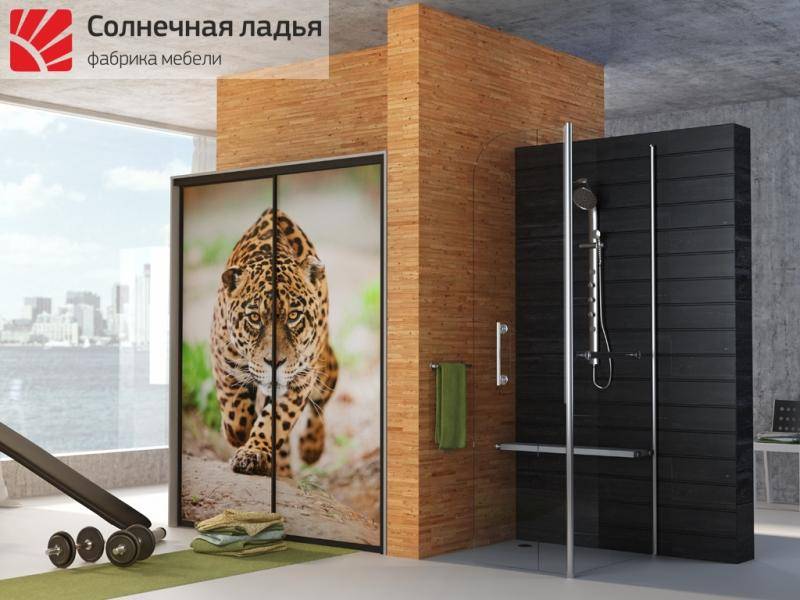 шкаф - купе фотопечать 4 в Королёве