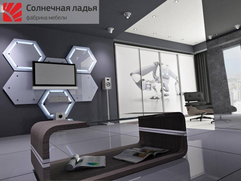 шкаф - купе для гостиной 11 в Королёве