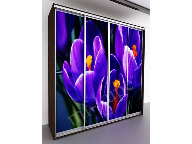 шкаф-купе бергамо violet 4 в Королёве