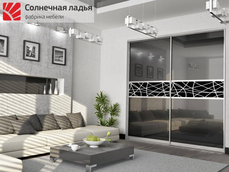 шкаф - купе для гостиной 10 в Королёве