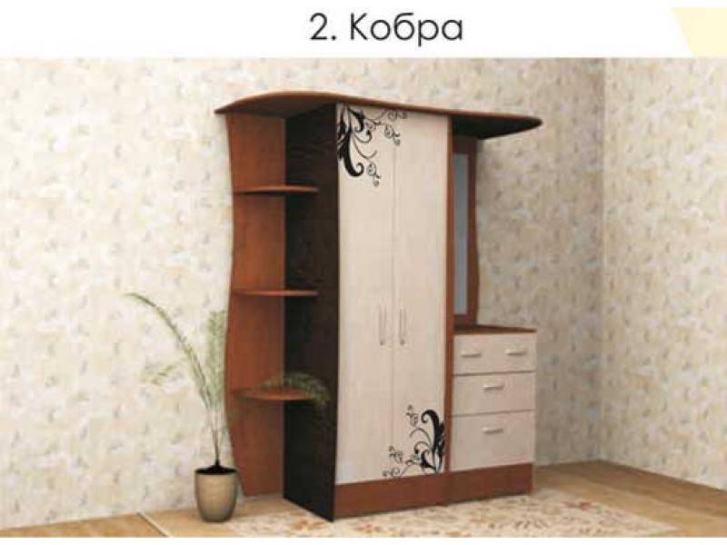 прихожая кобра в Королёве