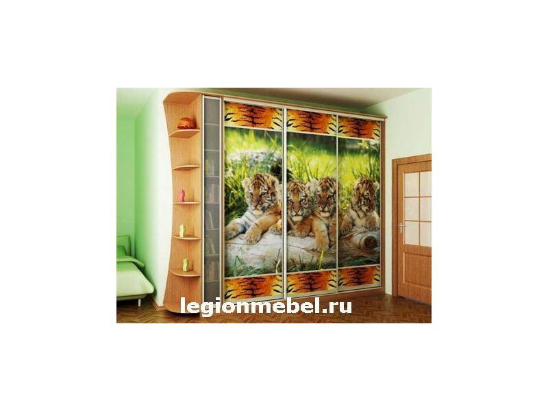 шкаф-купе с фотопечатью в Королёве