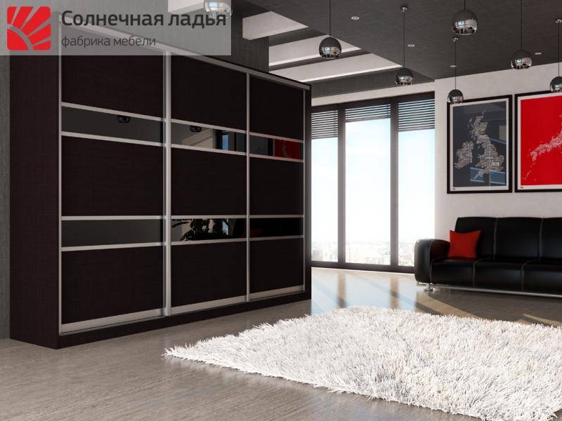 шкаф - купе для гостиной 5 в Королёве