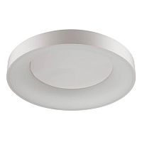 потолочный светодиодный светильник odeon light sole 4062/80cl в Королёве