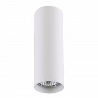 потолочный светильник lightstar rullo 214496 в Королёве