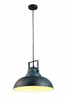 подвесной светильник arte lamp martin a5213sp-1bg в Королёве