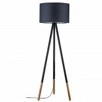 торшер paulmann rurik 79633 в Королёве