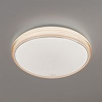 потолочный светодиодный светильник eurosvet universal 40008/1 led кофе в Королёве
