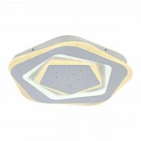 потолочный светодиодный светильник f-promo ledolution 2281-5c в Королёве
