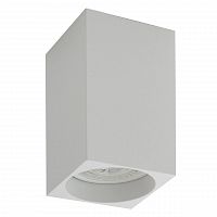 потолочный светильник denkirs dk2009-wh в Королёве