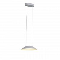 подвесной светодиодный светильник st luce pitto sl427.503.01 в Королёве