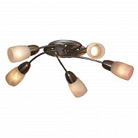 потолочная люстра lussole cevedale grlsq-6907-05 в Королёве