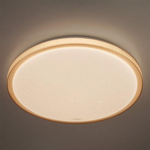 потолочный светодиодный светильник eurosvet sandy 40015/1 led кофе в Королёве