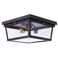 потолочный светильник loft it loft3110-2c в Королёве