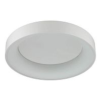потолочный светодиодный светильник odeon light sole 4062/40cl в Королёве