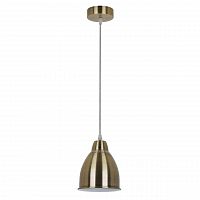подвесной светильник arte lamp braccio a2054sp-1ab в Королёве