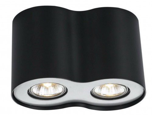 потолочный светильник arte lamp falcon a5633pl-2bk в Королёве