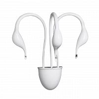 бра lightstar cigno collo wt 751636 в Королёве