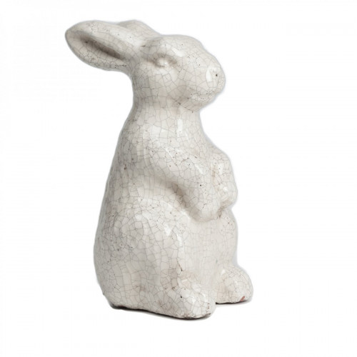 кролик декоративный rabbit в Королёве