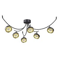 потолочная светодиодная люстра odeon light fineca 3812/42cl в Королёве