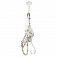 подвесной светильник lussole loft aya grlsp-9993 в Королёве