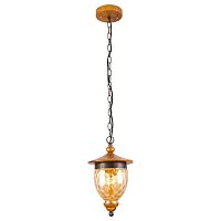 подвесной светильник arte lamp catena a6711sp-1br в Королёве