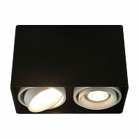 потолочный светильник arte lamp a5655pl-2bk в Королёве