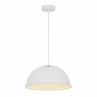 подвесной светильник arte lamp buratto a8173sp-1wh в Королёве