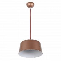 подвесной светильник arti lampadari tempo e 1.3.p1 br в Королёве