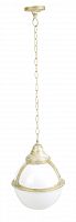 уличный подвесной светильник arte lamp monaco a1495so-1wg в Королёве