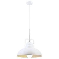 подвесной светильник arte lamp martin a5213sp-1wg в Королёве