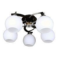 потолочная люстра omnilux caldiero oml-25407-05 в Королёве
