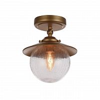 потолочный светильник favourite farola 2027-1u в Королёве