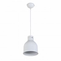 подвесной светильник arti lampadari colata e 1.3.p1 w в Королёве