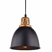 подвесной светильник arte lamp eurica a4245sp-1bk в Королёве