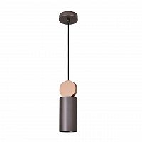 подвесной светильник favourite otium 2215-1p в Королёве
