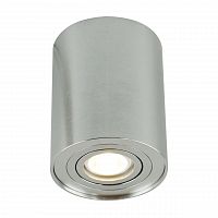 потолочный светильник arte lamp a5644pl-1si в Королёве