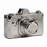 предмет декора camera серебряная в Королёве