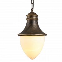 уличный подвесной светильник arte lamp vienna a1317so-1bn в Королёве