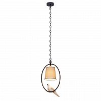подвесной светильник loft it loft1029a-1 в Королёве