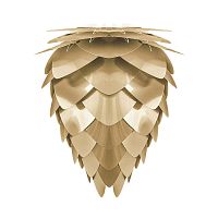 плафон conia brushed brass в Королёве