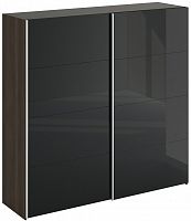 шкаф-купе slide 1700 черный в Королёве