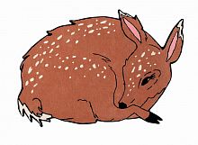 ковер шерстяной олененок the deer в Королёве