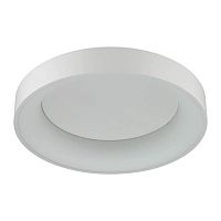 потолочный светодиодный светильник odeon light sole 4062/50cl в Королёве