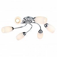 потолочная люстра lussole lgo lsp-0133 в Королёве
